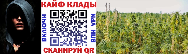 Виды наркоты Шатура Конопля A-PVP ГАШ Меф мяу мяу Cocaine