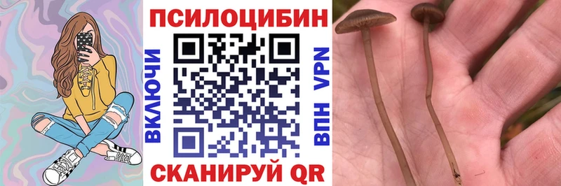 Галлюциногенные грибы GOLDEN TEACHER  Шатура 